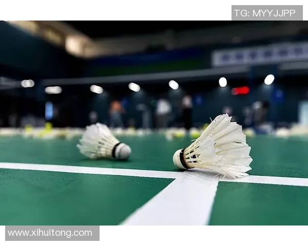 西安羽毛球队实力大变革引发热议助力城市体育发展新篇章