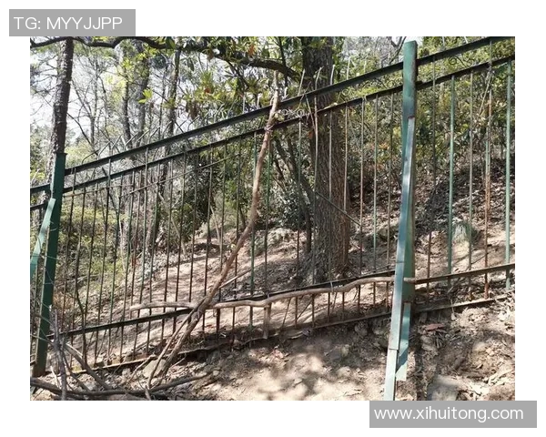 重庆攀岩队防守革新之路探索与实践的深度剖析与反思 重庆攀岩队防守革新之路探索与实践的深度剖析与反思