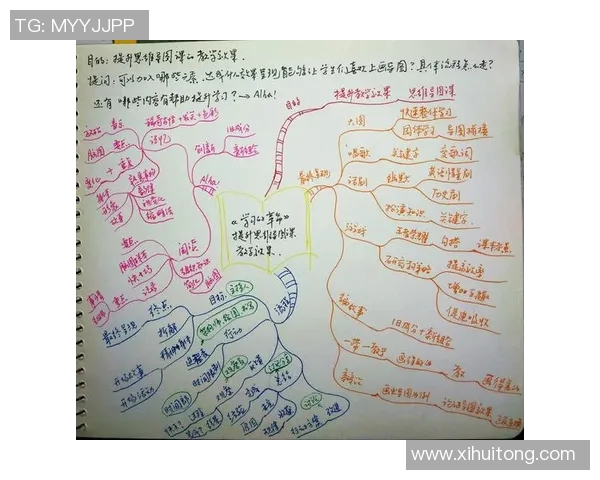 飞盘与梦想交织的旅程刘芳的深度对话与人生启示 飞盘与梦想交织的旅程刘芳的深度对话与人生启示