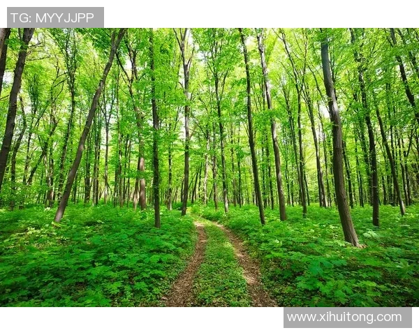 绿色森林与牛津联对决分析及胜负推荐探讨