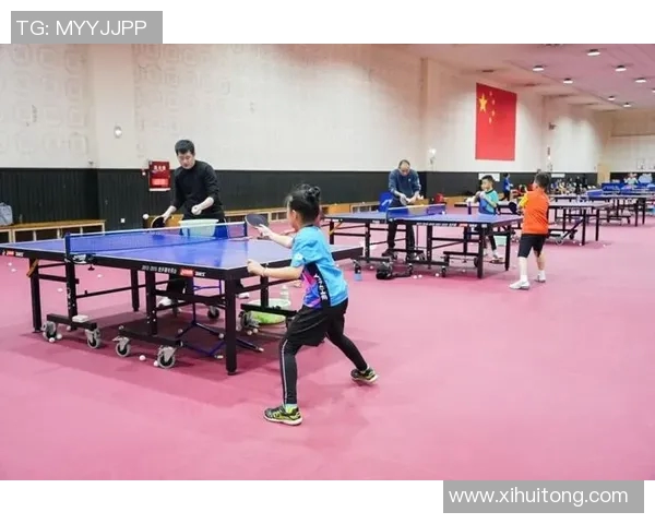 乒乓球的魅力与灵动深圳乒乓球队的训练与战术揭秘