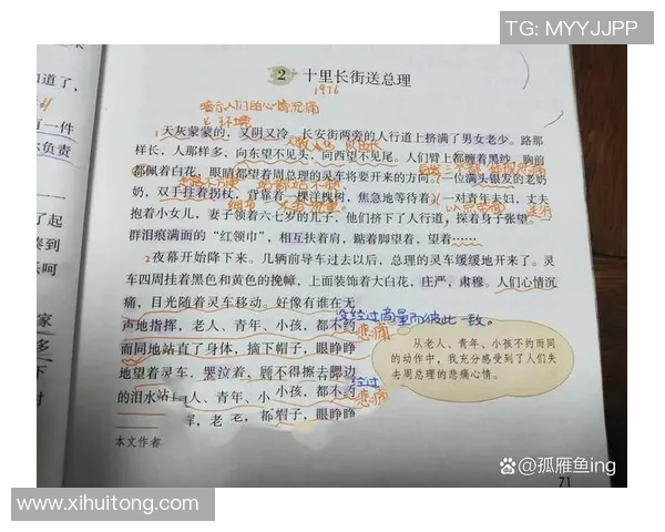 焦泊乔的成长之路与未来展望:从平凡到卓越的奋斗故事 焦泊乔的成长之路与未来展望:从平凡到卓越的奋斗故事