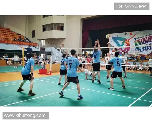 北京排球队逆袭之旅揭秘挑战赛背后的拼搏与团结精神