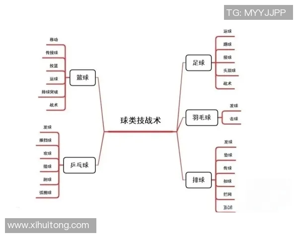 武汉排球队战术解析：从基本功到战术配合的全面剖析与展望